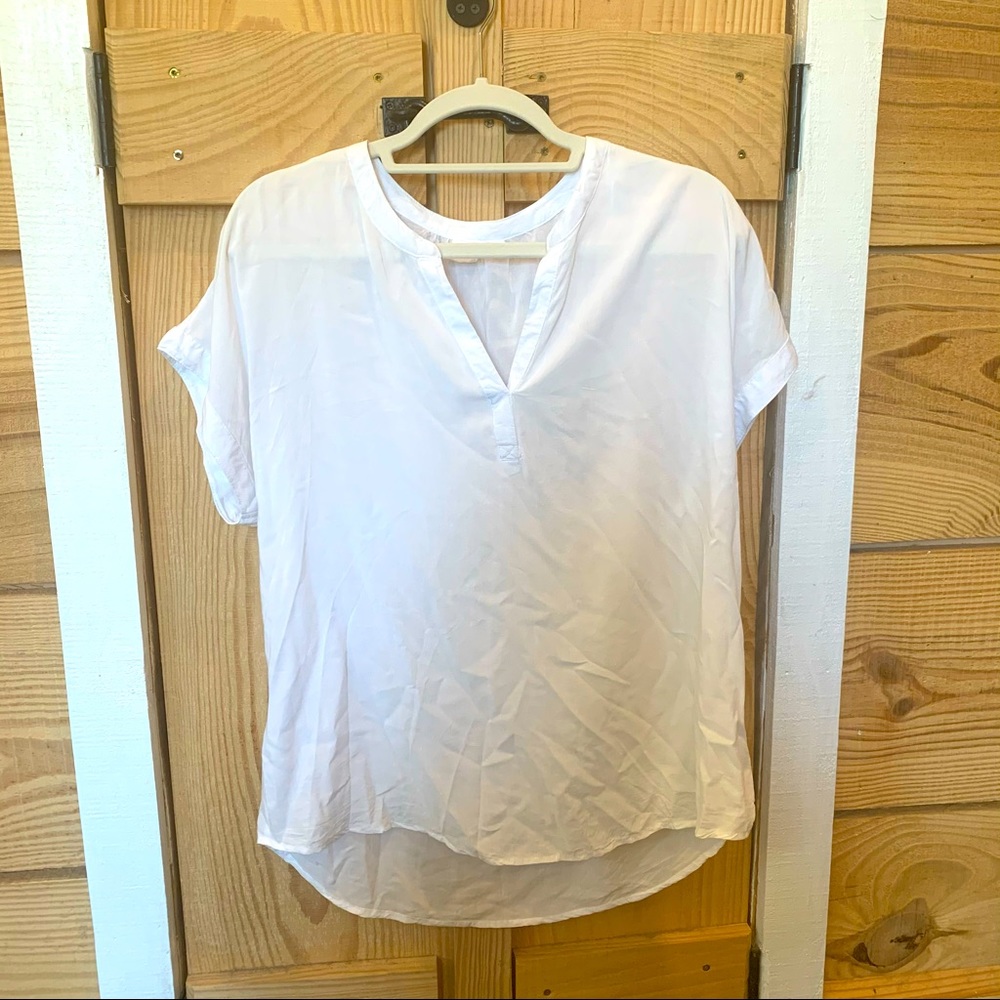 Gap Sheer Shirt